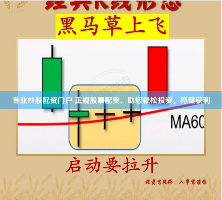 专业炒股配资门户 正规股票配资，助您轻松投资，稳健获利