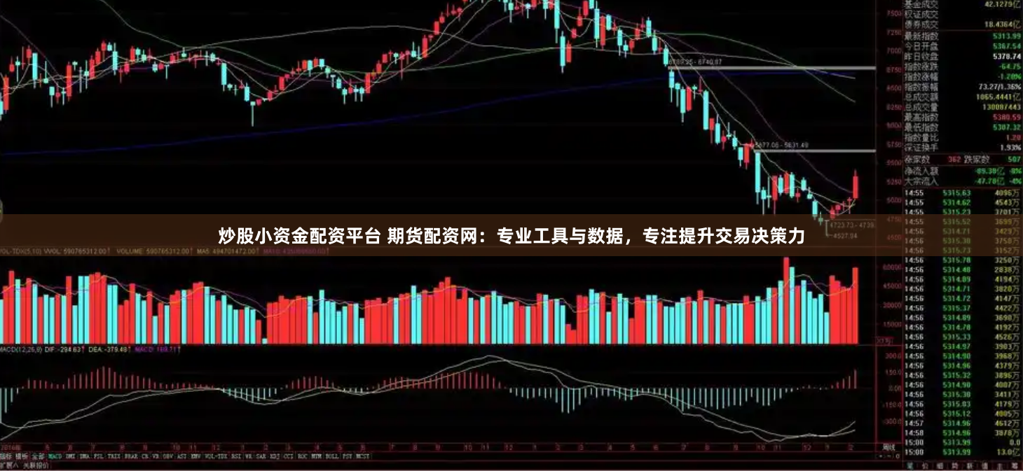 炒股小资金配资平台 期货配资网：专业工具与数据，专注提升交易决策力